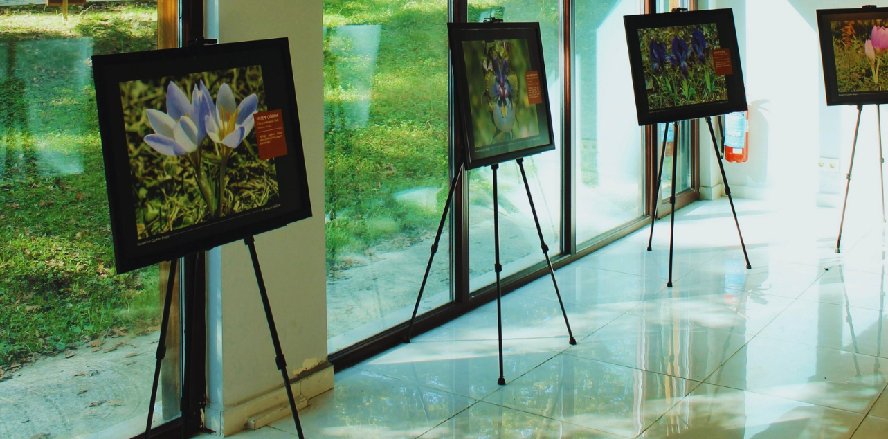 إيش أفضل طريقة لتصميم جناح يجذب الناس في المعارض؟